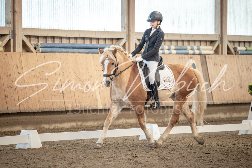 20251011-_3LI6624 | Tierfotografie Pferde, Hunde, Katzen, Haustiere.
Turnierfotografie Reitturniere, Reiten, Springreiten, Dressur in Hanau, dem Main-Kinzig-Kreis und dem Rhein-Main- Gebiet um Frankfurt