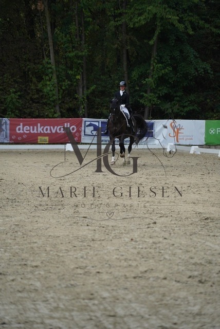 VAN05213 | Marie Giesen Fotografie - Realisiert mit Pictrs.com