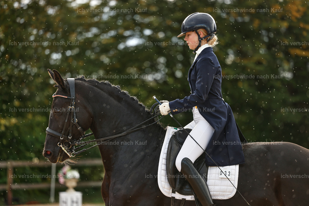 10-033-ST.GEORG SPECIAL -StoibPH-3125 | working equitationturnier fotograf videograf stoibphotography marixx film working equitation deutschland reitsport turnierfotografie eventfotografie equestrian events