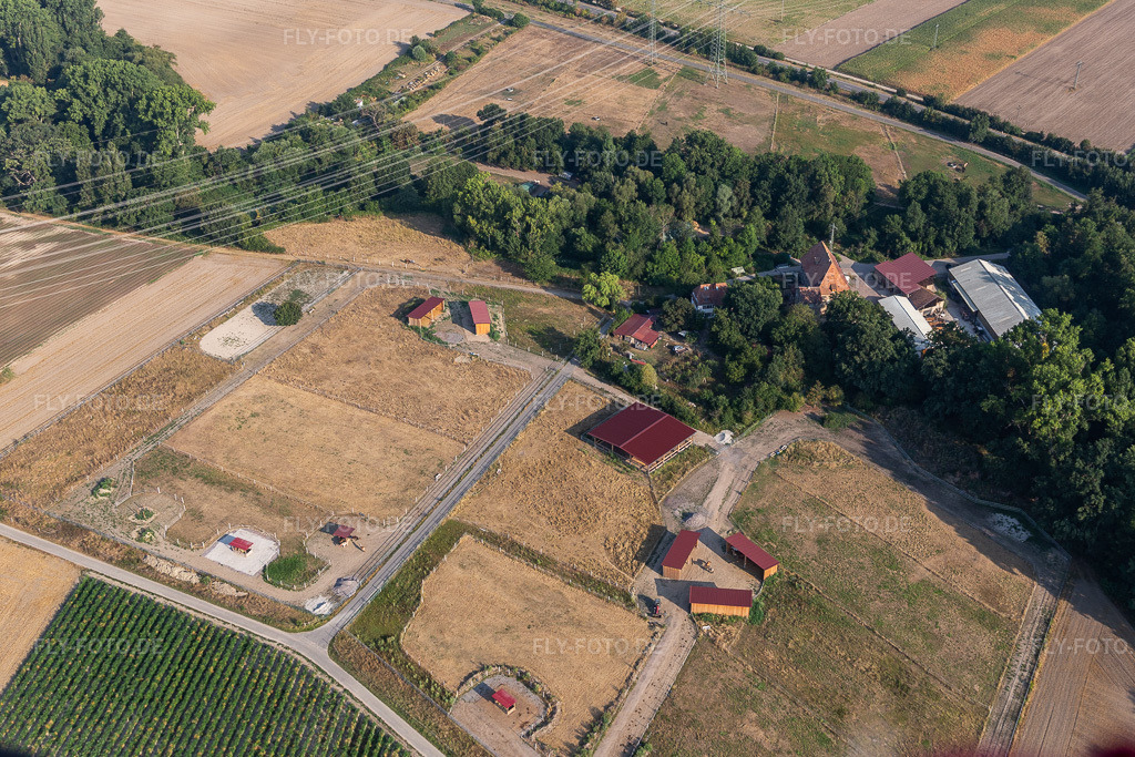 Luftbild: Pferdehof Wanzheimer Mühle in Rheinzabern im Bundesland Rheinland-Pfalz in Deutschland. Foto: IMG_122164.jpg vom 11.08.2020 durch Werner Riehm/FLY-FOTO.de