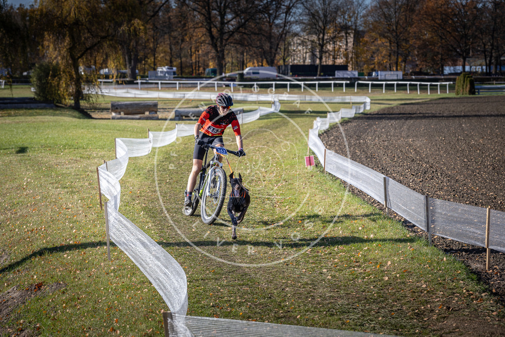 CaniXpix_DV3A7205 | Hundefotografie, Tierfotograf, Pfotenfotografie, Fotoshooting Hund, Hunde Portrait, Hundesport, Hundeportraits, Heideshooting, Hunde, Sportfotograf, Hundefotograf, Turnierhundsport, THS,  - Realisiert mit Pictrs.com