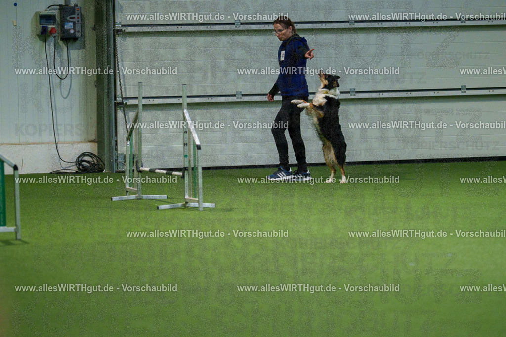 7R508181 | Professionelle Tierfotografie in Mönchengladbach von Daniel Wirth (allesWIRTHgut). Liebevolle & natürliche Bilder von Hunden & Katzen für unvergessliche Erinnerungen.