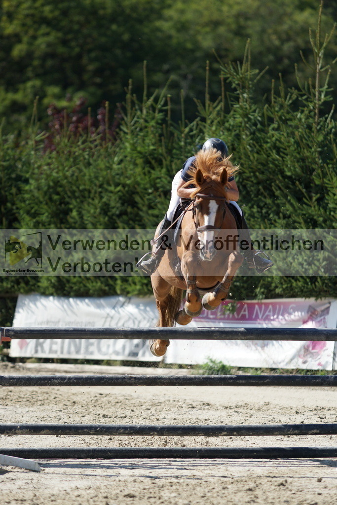 DSC01642 | equestrian-live-com