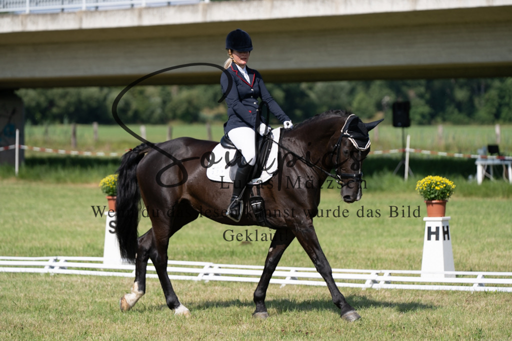 A7V09561 | Pferdefotograf