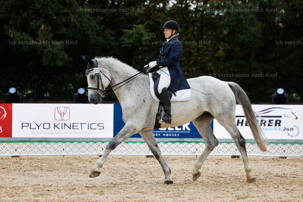 8_2-017-DRESSUR S_  -StoibPH-4536 | working equitationturnier fotograf videograf stoibphotography marixx film working equitation deutschland reitsport turnierfotografie eventfotografie equestrian events