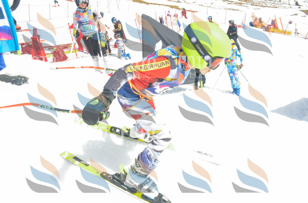 _ELE6847 | holidayphoto