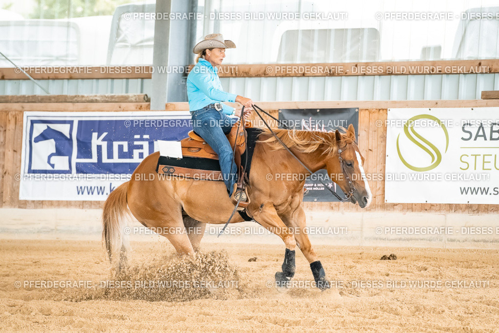 DSC02217 | Pferdegrafie