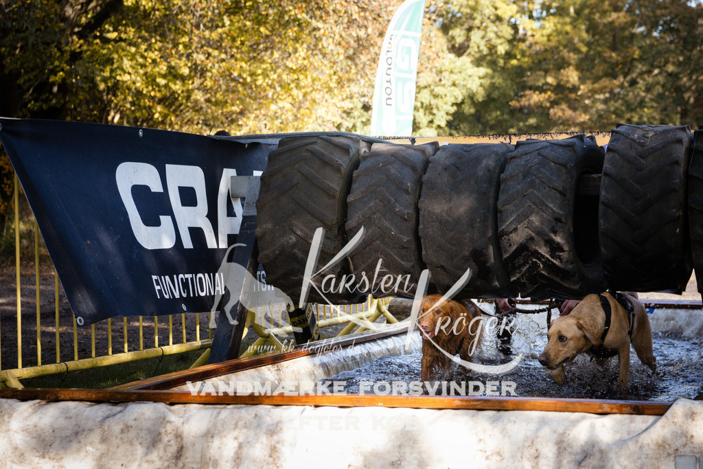 1045_ZZ92737 | kk-dogfotos