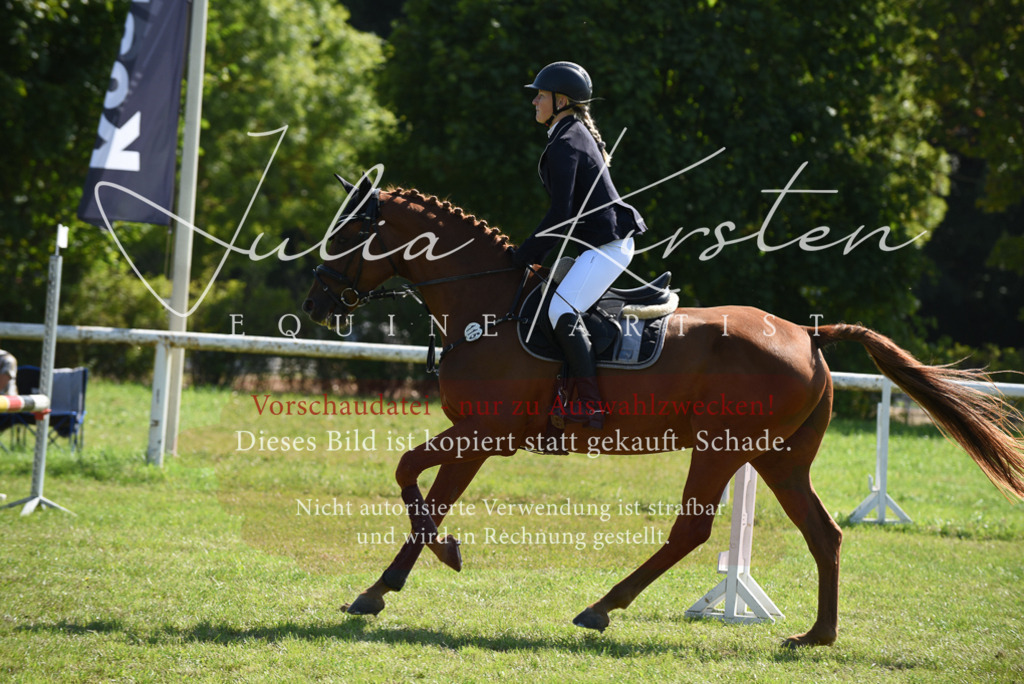 DSC_9215 | Pferde- und Turnierfotografie in Westsachsen. Pferdeportraits, Auftragszeichnungen und intuitive Kunst.