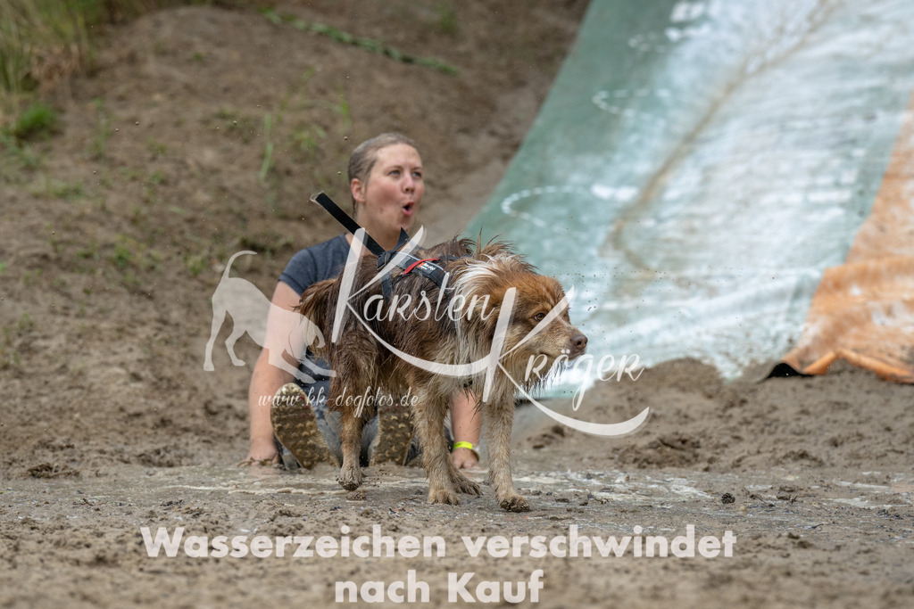 1401_ZZ90582 | kk-dogfotos