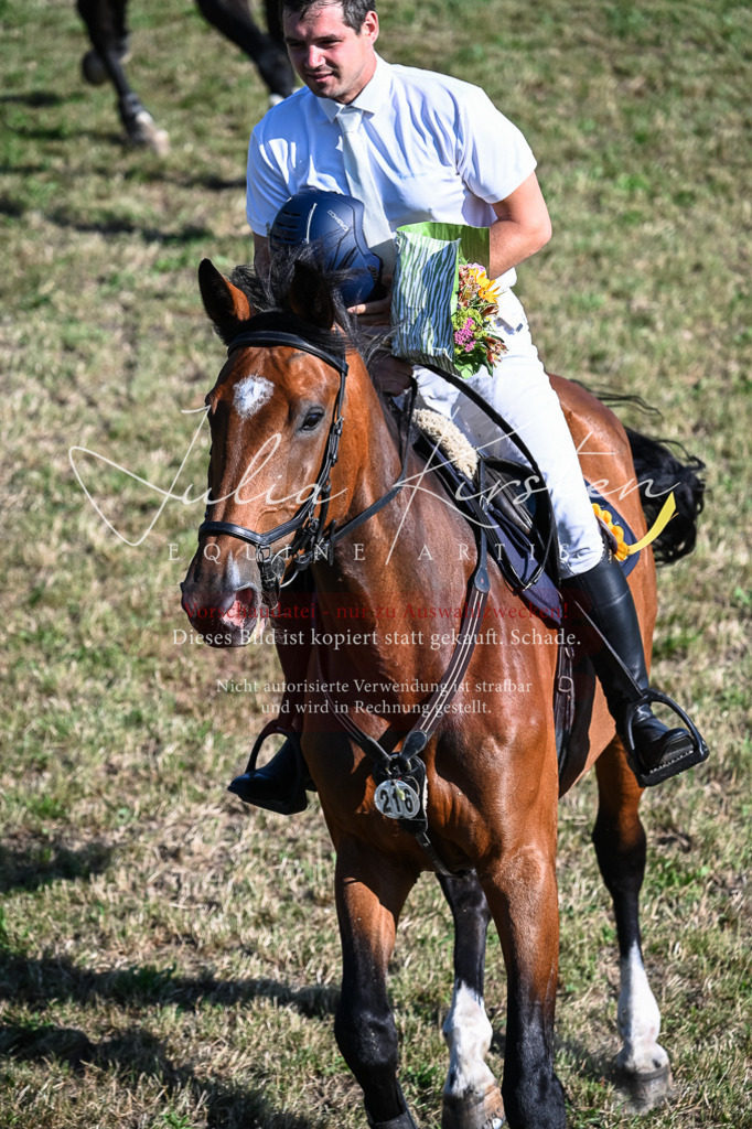 DSC_2625 | Pferde- und Turnierfotografie in Westsachsen. Pferdeportraits, Auftragszeichnungen und intuitive Kunst.
