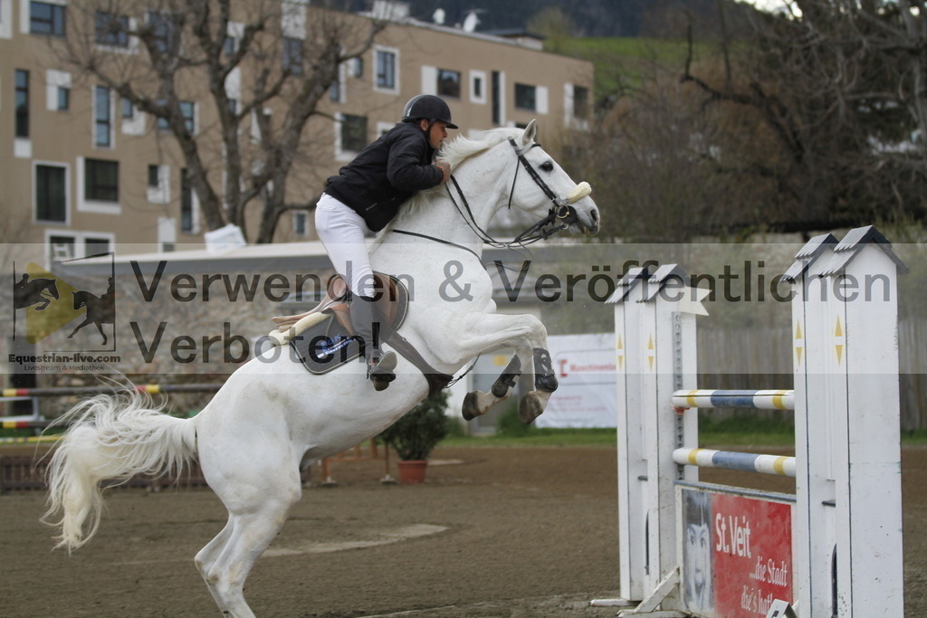 _MG_6446 | equestrian-live-com