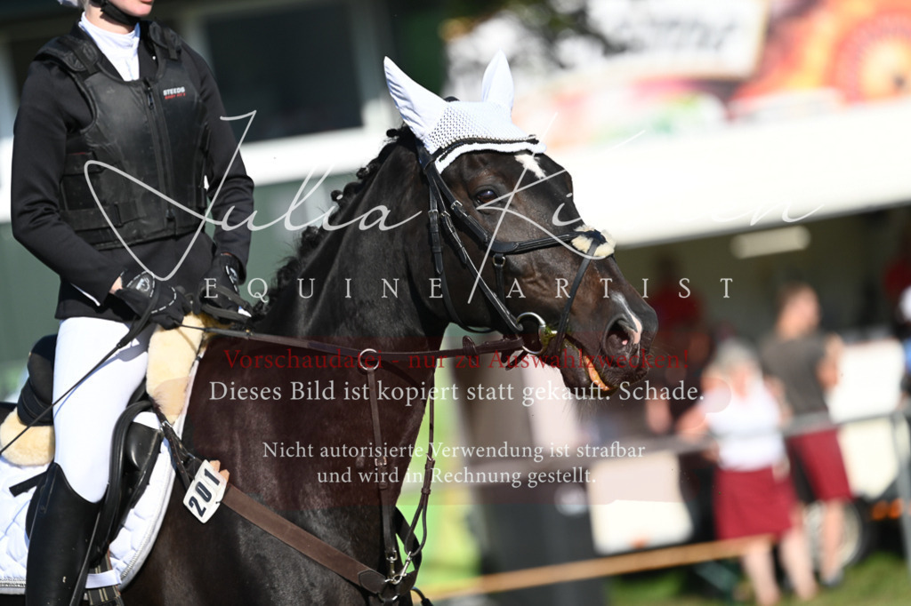 DSC_5127 | Pferde- und Turnierfotografie in Westsachsen. Pferdeportraits, Auftragszeichnungen und intuitive Kunst.