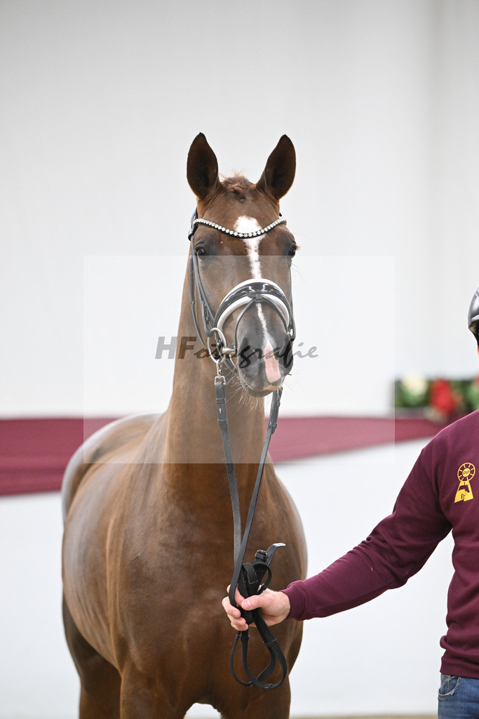 Kat-Nr. 138 Flashbang x Benetton Dream_Christian Gaeher_47251434 | hf-fotografie - Realisiert mit Pictrs.com