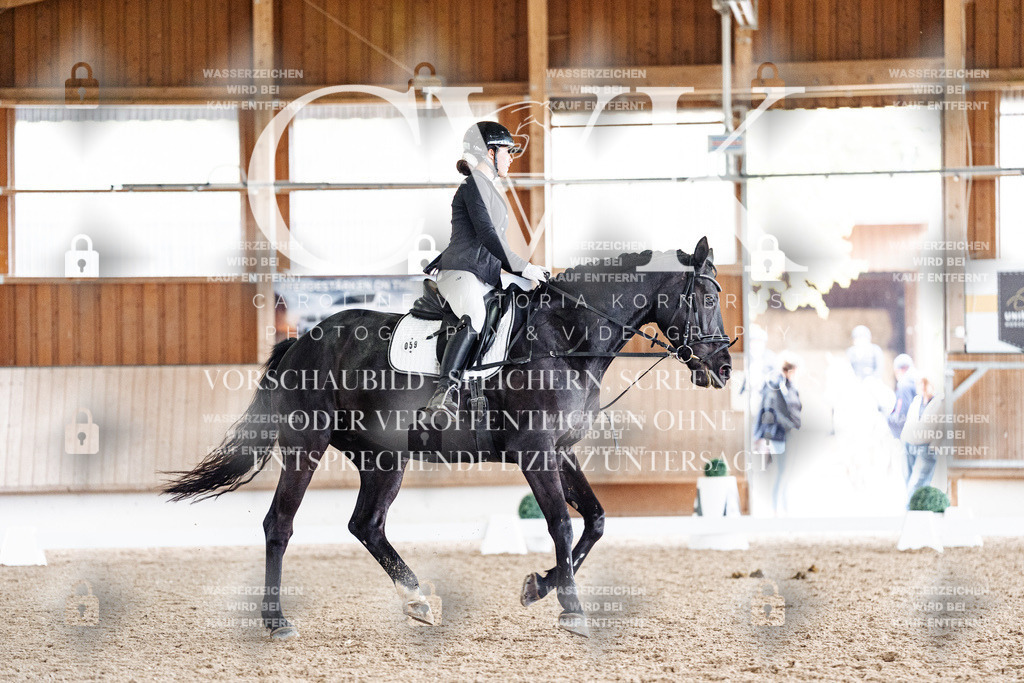 CK901111 | Turnierfotografie Pferdefotografie Trier Rheinland-Pfalz Pferdesport Reitsport Tierfotografie Sportfotografie Pferdevideo Pferdevideografie Equestrianvideography equestrianphotography  - Realisiert mit Pictrs.com