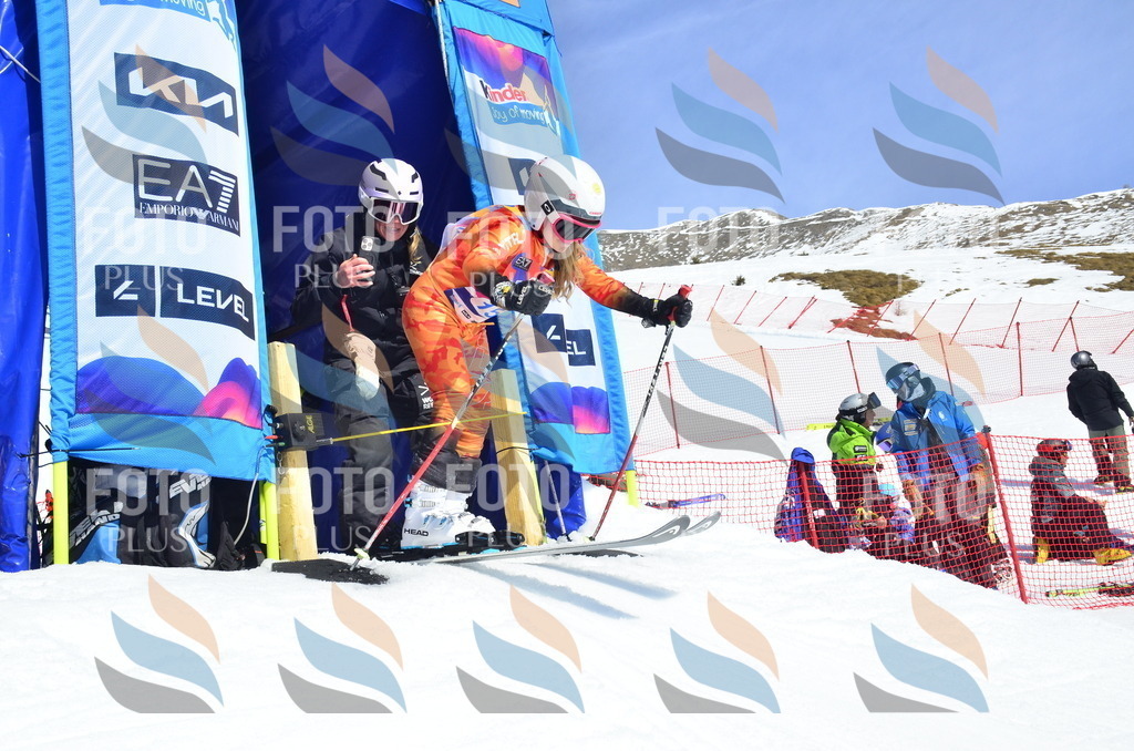 _ELE1041 | holidayphoto