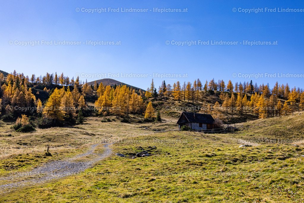 Kastenriegel Graualm Rundtour ueber Rosshoelle Bschlagstatt_Hohe Weichsel Hochschwabgebiet 27102021-0752 | Fotos und Fotoprodukte - Realisiert mit Pictrs.com