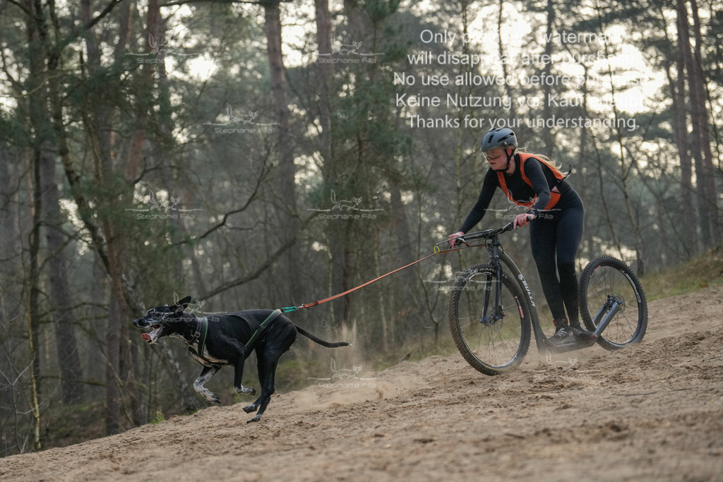 Scooter1-42 | stephaniefillaphotographie - Realisiert mit Pictrs.com