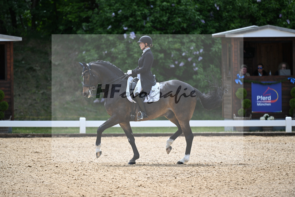 Foertsch_Duke_26265439 | hf-fotografie - Realisiert mit Pictrs.com