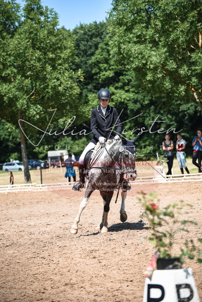 DSC_3237 | Pferde- und Turnierfotografie in Westsachsen. Pferdeportraits, Auftragszeichnungen und intuitive Kunst.
