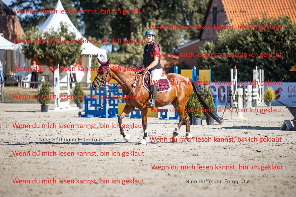 BK1A7233 | Turnierbilder Turnierfotos Nina Hüffmann Turnierfotografie Pferdefotografie Tierzeichnung Haustierzeichnung Pferdezeichnung Hundezeichnung Videograf  - Realisiert mit Pictrs.com