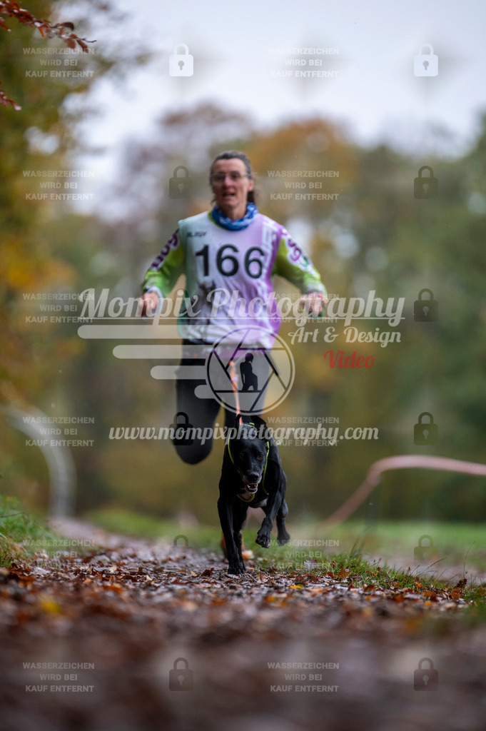 DBT_DAKM_SA_4_11_2023_Canicross-99 | PayLife