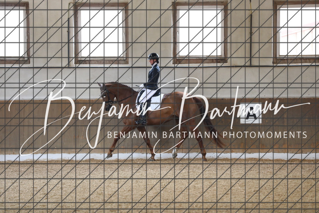 AZ2A0464 | Benjamin Bartmann Photomoments