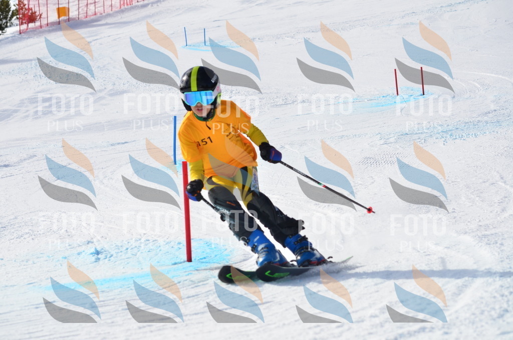 C7765 | holidayphoto