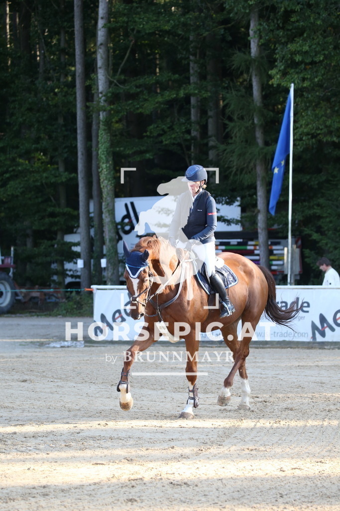 DL2Q5906 | Willkommen bei Brunnmayr - Design & Fotografie – Ihrem Spezialisten für Reitturniere und Pferdeveranstaltungen in Oberösterreich, Salzburg und Bayern! Seit über 17 Jahren sind wir leidenschaftlich dabei.