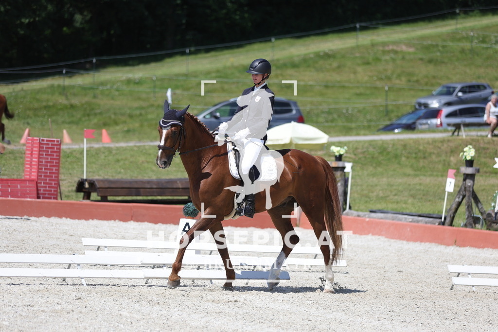 0P6A6795 | Willkommen bei Brunnmayr - Design & Fotografie – Ihrem Spezialisten für Reitturniere und Pferdeveranstaltungen in Oberösterreich, Salzburg und Bayern! Seit über 17 Jahren sind wir leidenschaftlich dabei.