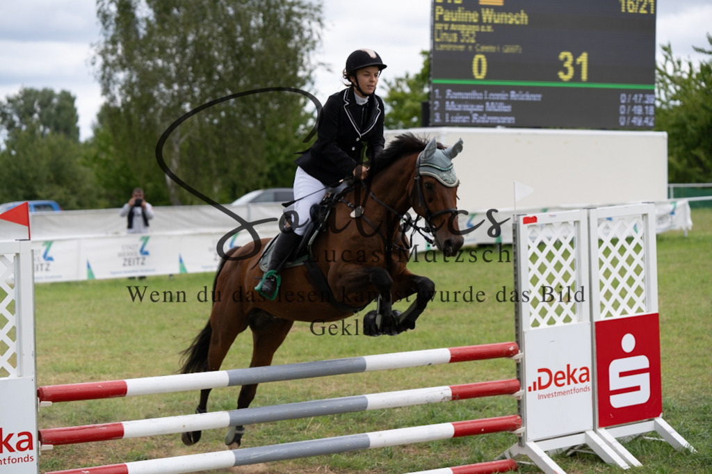 A7V05573 | Pferdefotograf