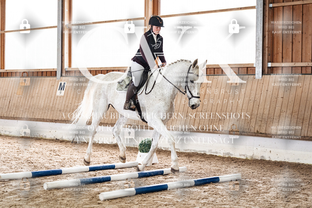 CK902829 | Turnierfotografie Pferdefotografie Trier Rheinland-Pfalz Pferdesport Reitsport Tierfotografie Sportfotografie Pferdevideo Pferdevideografie Equestrianvideography equestrianphotography  - Realisiert mit Pictrs.com