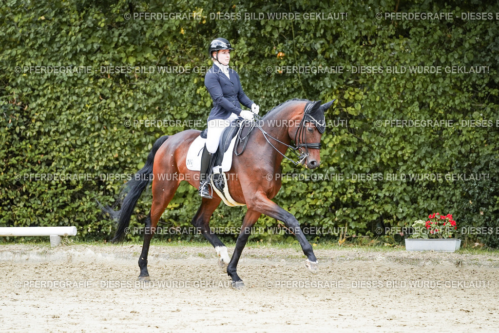 DSC07232 | Pferdegrafie