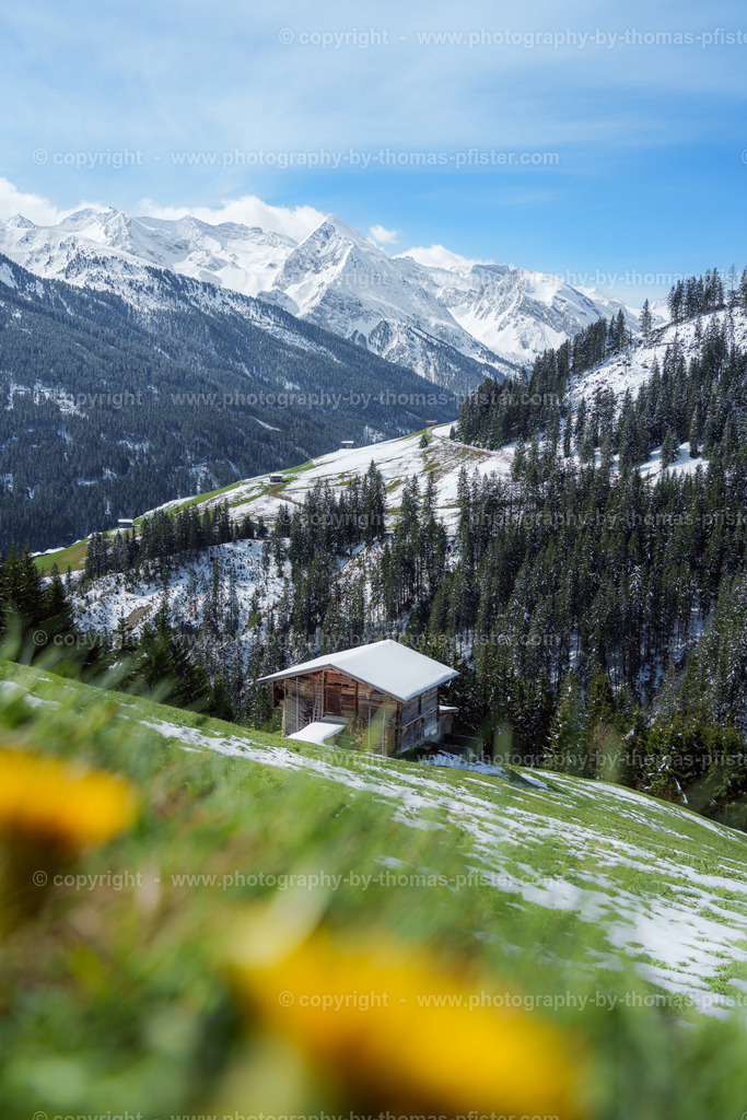 Tux Frühling copyright  Thomas Pfister-4 | PHOTOGRAPHY BY THOMAS PFISTER