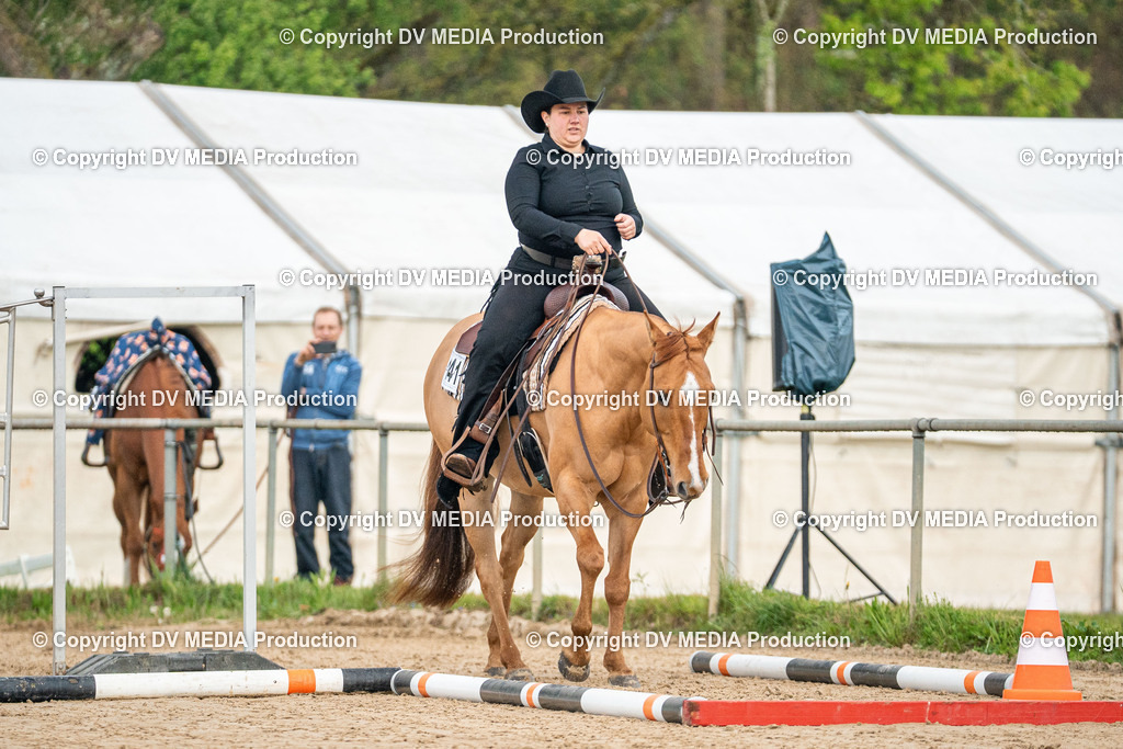 Heiligenwald Tag 1-10 | dv-media-shop - Realisiert mit Pictrs.com