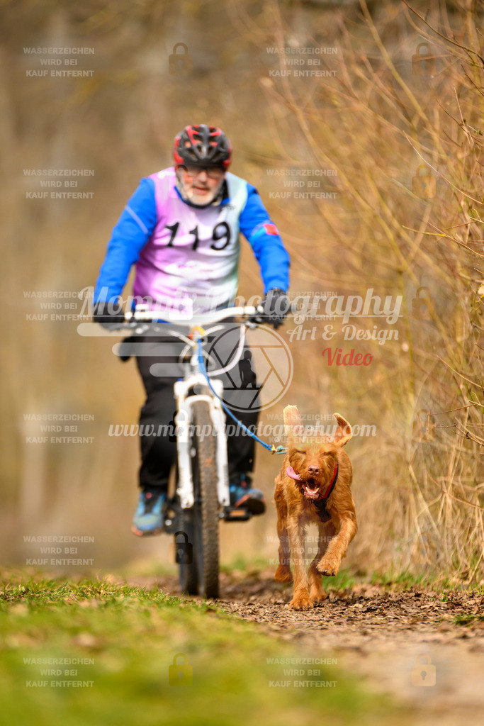 MompixPhotography_Schwabentrail2024_Bike-134 | PayLife