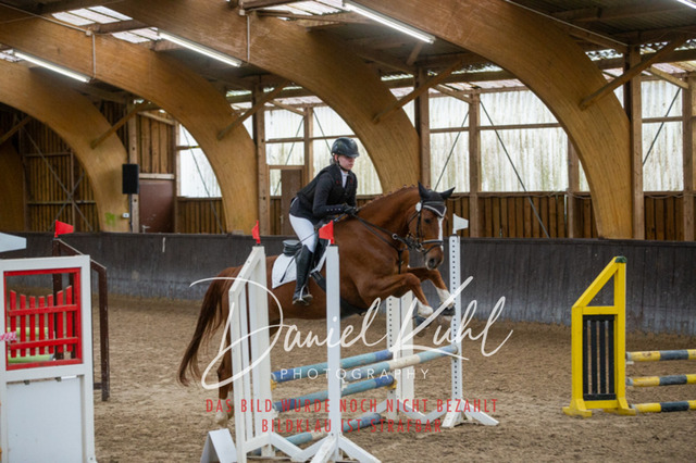 IMG_1956 | Turniersportfotografie; Pferdefotografie; Dressurfotografie