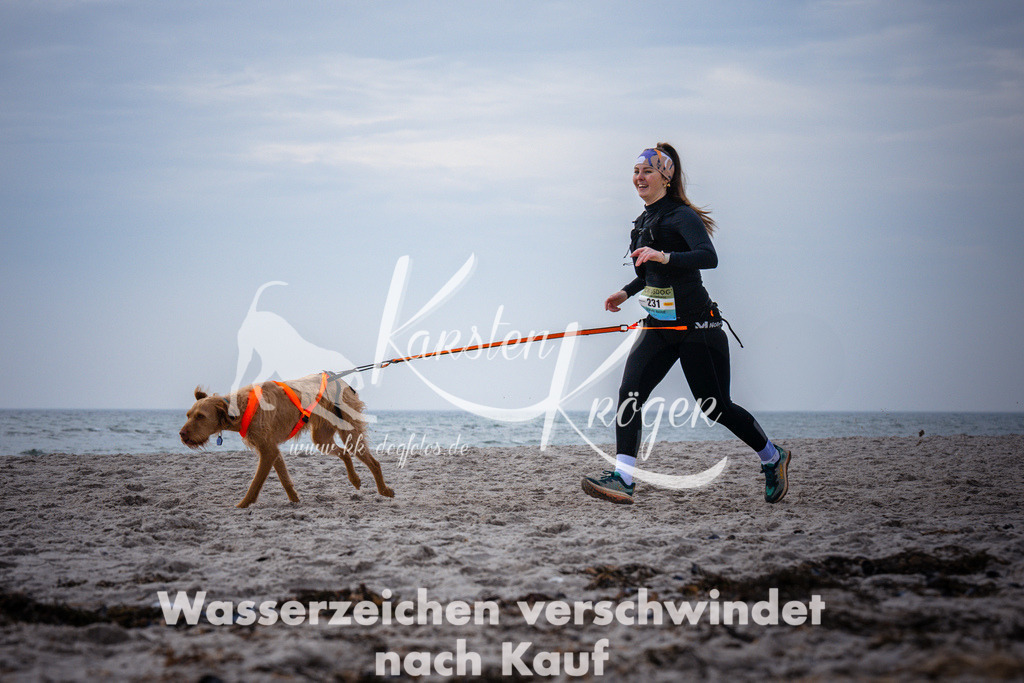 1041_ZZ96108 | kk-dogfotos