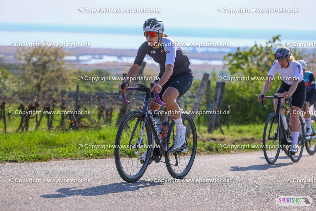 TRA_0264 | Neusiedlersee Radmarathon 2026@sportshot_your_pictrs #yourpictures#roadtowm2029 #nrm #neusiedlerseeradmarathon #neusiedlersee #neusiedlerseetourismus #burgenland #mörbisch #nrm26 #burgenlandtourismus #voglundco #poweredbyburgenlandtourismus #radsport #rad #marathon #ucigranfondo #visitburgenland #ucigranfondoworldseries