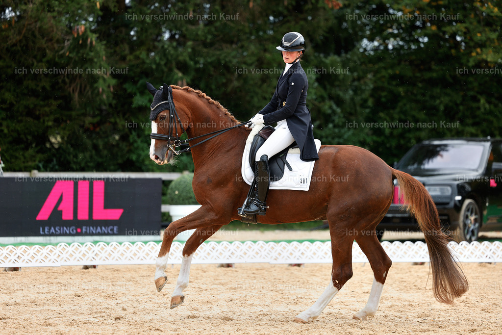 11-201-Dressur S___-StoibPH-947 | working equitationturnier fotograf videograf stoibphotography marixx film working equitation deutschland reitsport turnierfotografie eventfotografie equestrian events