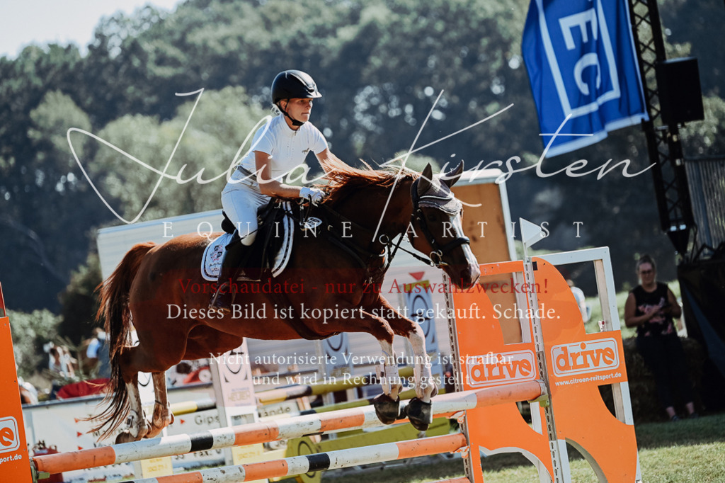 DSC_5609 | Pferde- und Turnierfotografie in Westsachsen. Pferdeportraits, Auftragszeichnungen und intuitive Kunst.