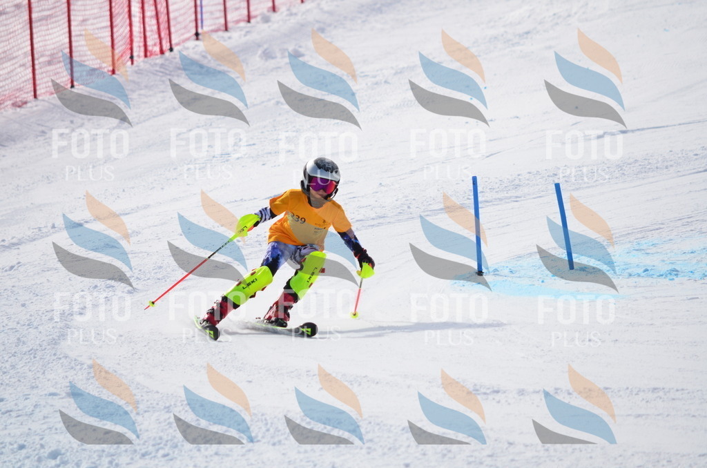 C8369 | holidayphoto