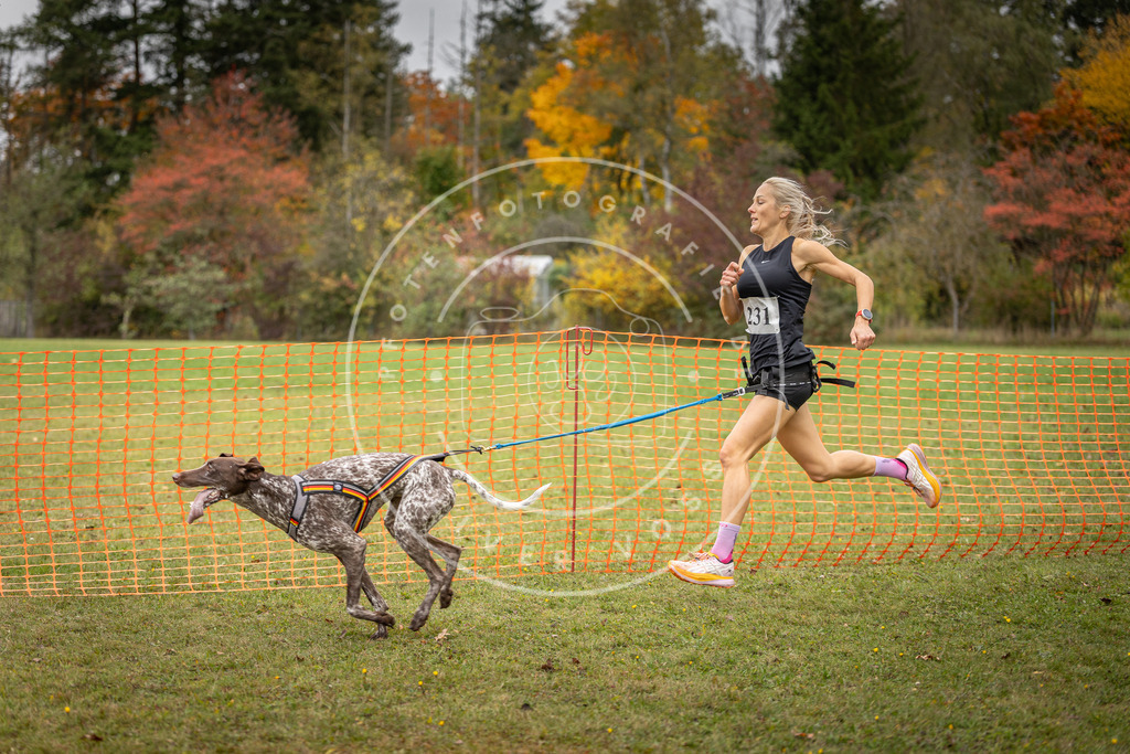 Pfotenfotografie_DV3A4489 | Hundefotografie, Tierfotograf, Pfotenfotografie, Fotoshooting Hund, Hunde Portrait, Hundesport, Hundeportraits, Heideshooting, Hunde, Sportfotograf, Hundefotograf, Turnierhundsport, THS,  - Realisiert mit Pictrs.com
