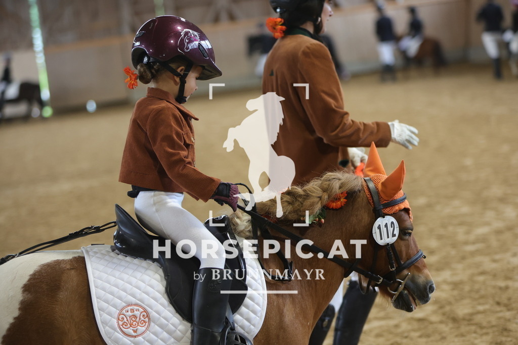 0P6A0644 | Willkommen bei Brunnmayr - Design & Fotografie – Ihrem Spezialisten für Reitturniere und Pferdeveranstaltungen in Oberösterreich, Salzburg und Bayern! Seit über 17 Jahren sind wir leidenschaftlich dabei.