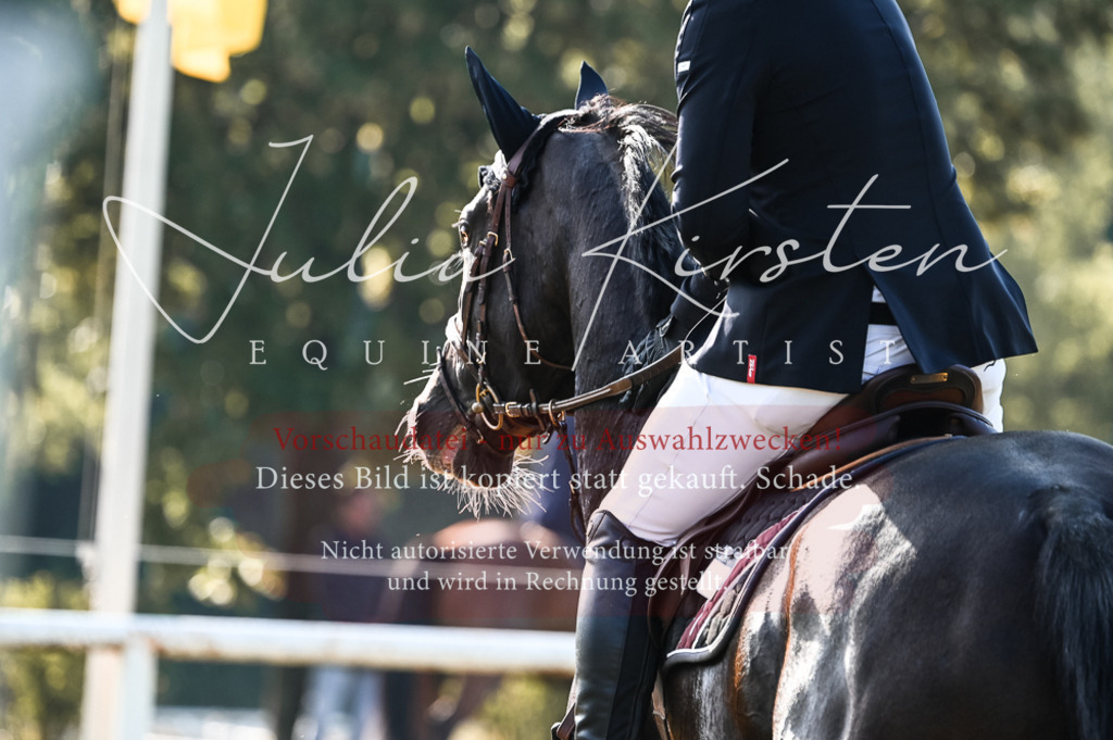 DSC_7545 | Pferde- und Turnierfotografie in Westsachsen. Pferdeportraits, Auftragszeichnungen und intuitive Kunst.