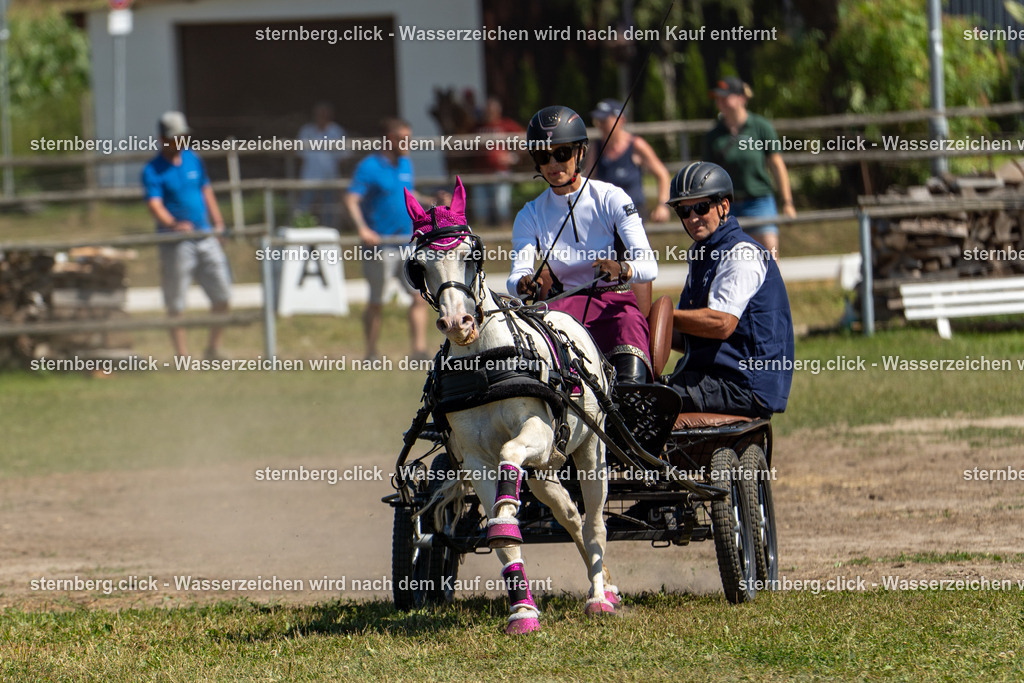 2026-08-09_11-44-42_WBO_Pulsnitz | sternberg.click - Realisiert mit Pictrs.com