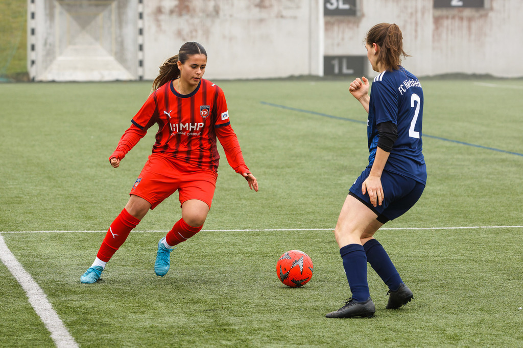 FCH-HÄR_251019_6239 | Fotopresso – Sportfotografie in Heidenheim & Umgebung. Professionelle Sportfotografie für unvergessliche Momente. Dynamische Action-Shots, emotionale Szenen & hochwertige Bilder. - Realisiert mit Pictrs.com