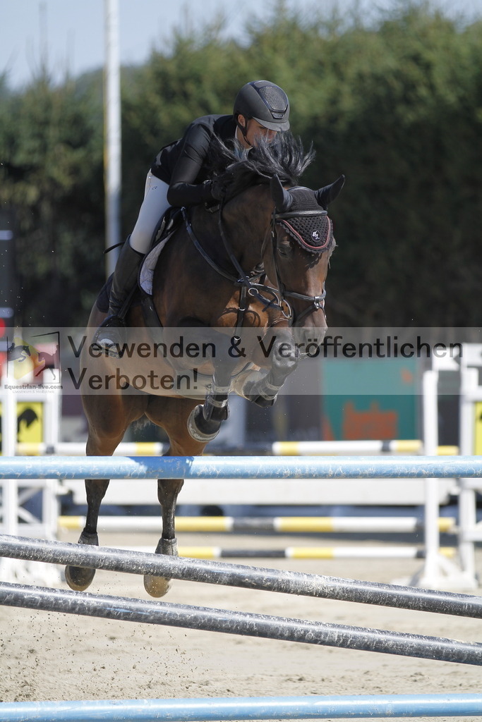 _MG_8083 | equestrian-live-com