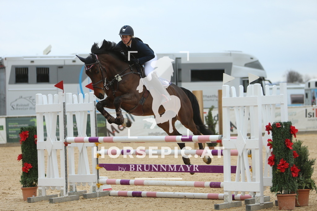 DL2Q6817 | Willkommen bei Brunnmayr - Design & Fotografie – Ihrem Spezialisten für Reitturniere und Pferdeveranstaltungen in Oberösterreich, Salzburg und Bayern! Seit über 17 Jahren sind wir leidenschaftlich dabei.