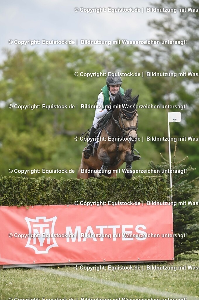 20250517_CCI1_Gelände_0135 | Foto: Thomas Hartig